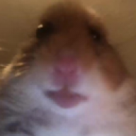 rizexor