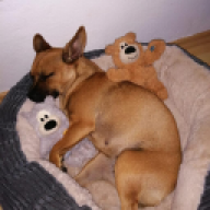 Felix
