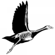 RottendeGans