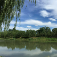 ANDYzhangyu