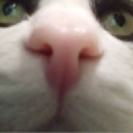 Moonixx