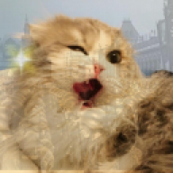 FuryBaM